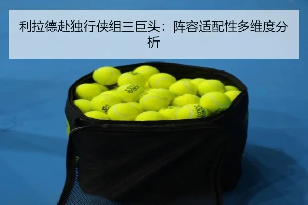 li-la-de-fu-du-xing-xia-zu-san-ju-tou-zhen-rong-shi-pei-xing-duo-wei-du-fen-xi-3-539.jpg